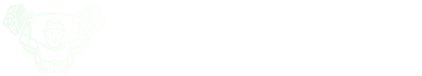 tribal-coach-logo
